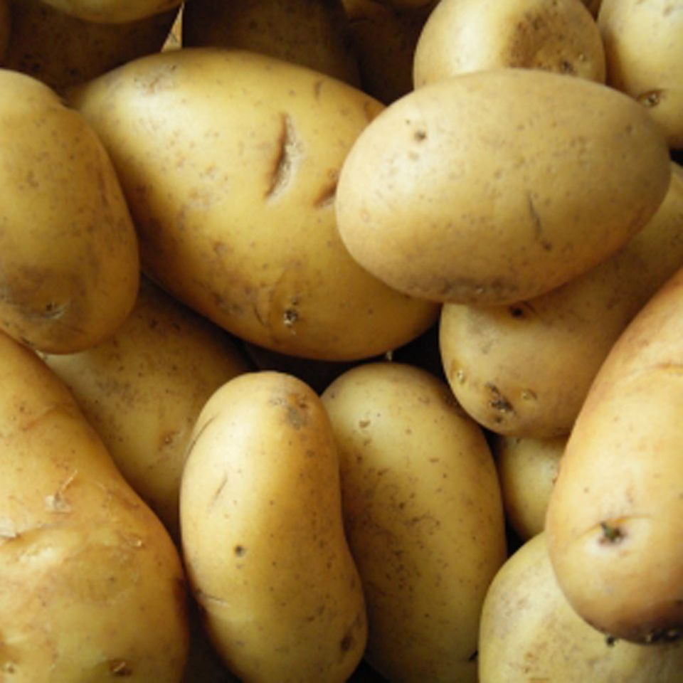 Grundlage: Kartoffeln Grundlage: Kartoffeln