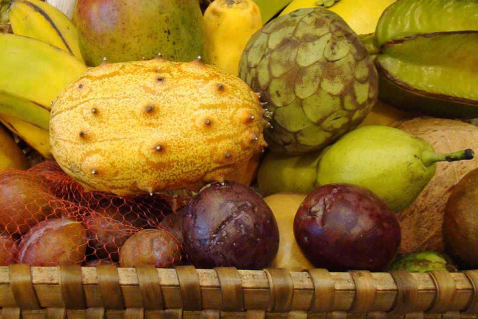 Vor allem exotische Früchte werden in der Instincotherapie empfohlen