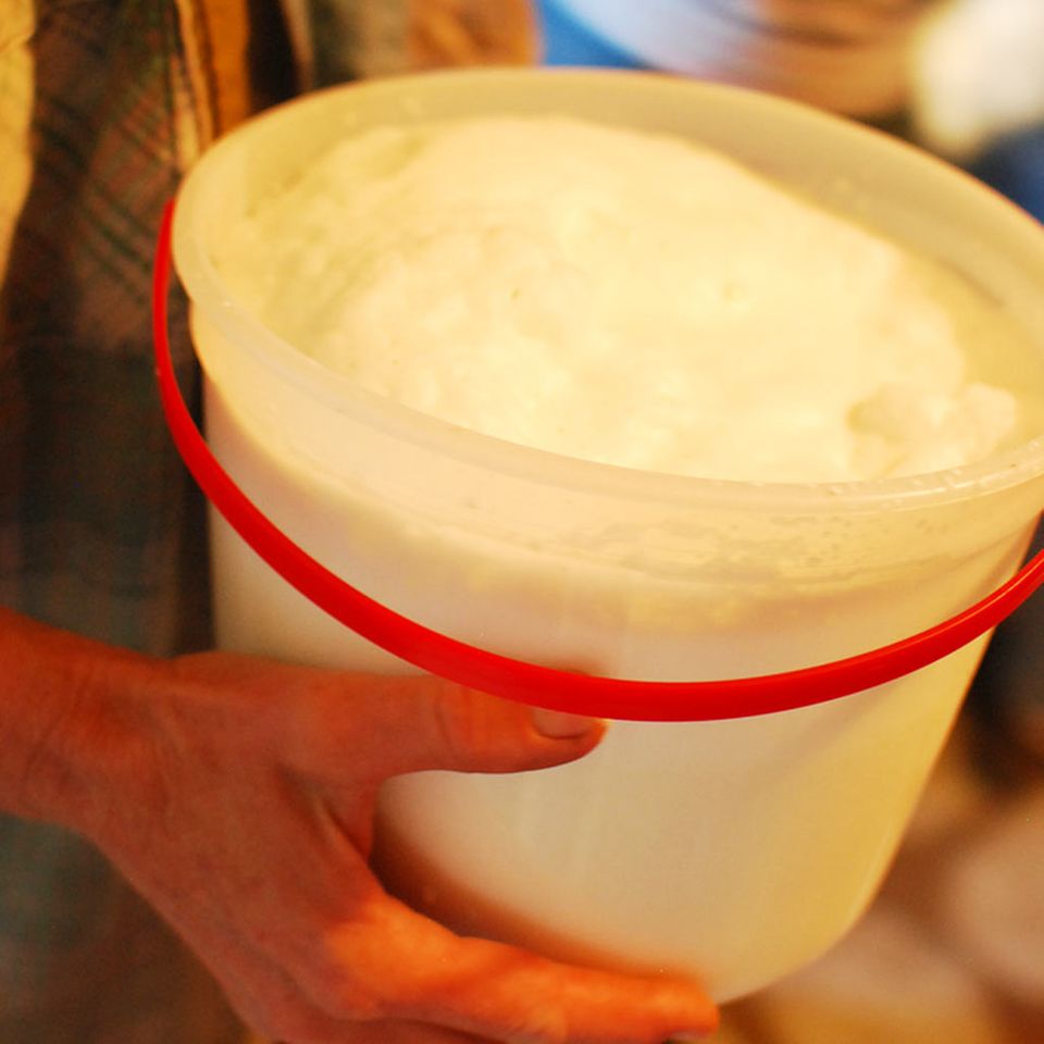 Mit der Primal Diet ist Rohmilch erlaubt Mit der Primal Diet ist Rohmilch erlaubt