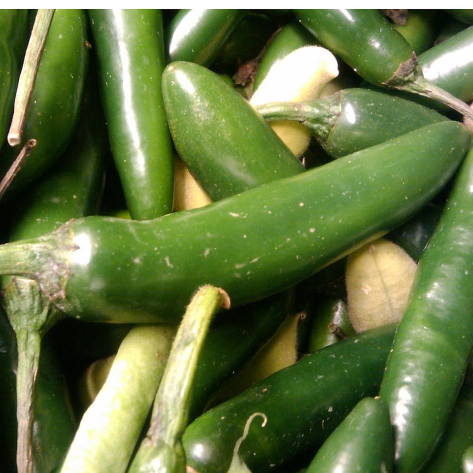 Grüner Tabasco wird aus Jalapeños hergestellt Grüner Tabasco wird aus Jalapeños hergestellt