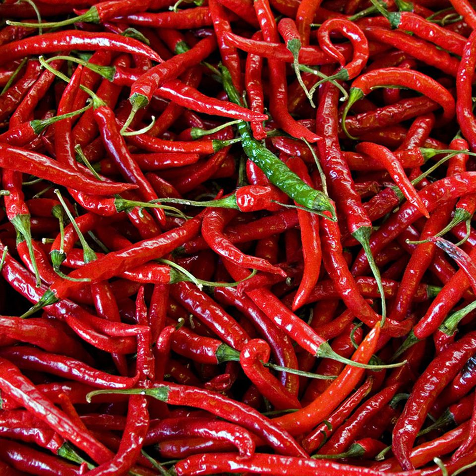 Grundlage für Sambal Oelek sind rote Chili-Schoten Grundlage für Sambal Oelek sind rote Chili-Schoten