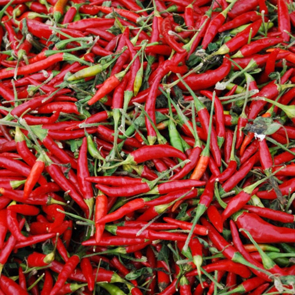 Chilis geben Aglio Olio einen würzigen Kick Chilis geben Aglio Olio einen würzigen Kick