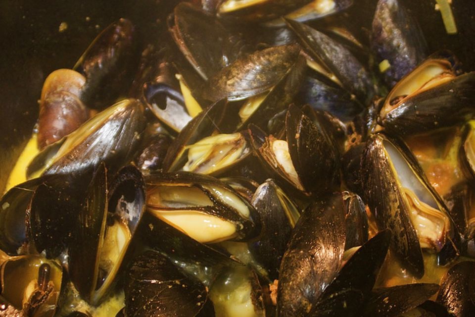 Miesmuscheln kochen ist gar nicht so schwer Miesmuscheln kochen ist gar nicht so schwer