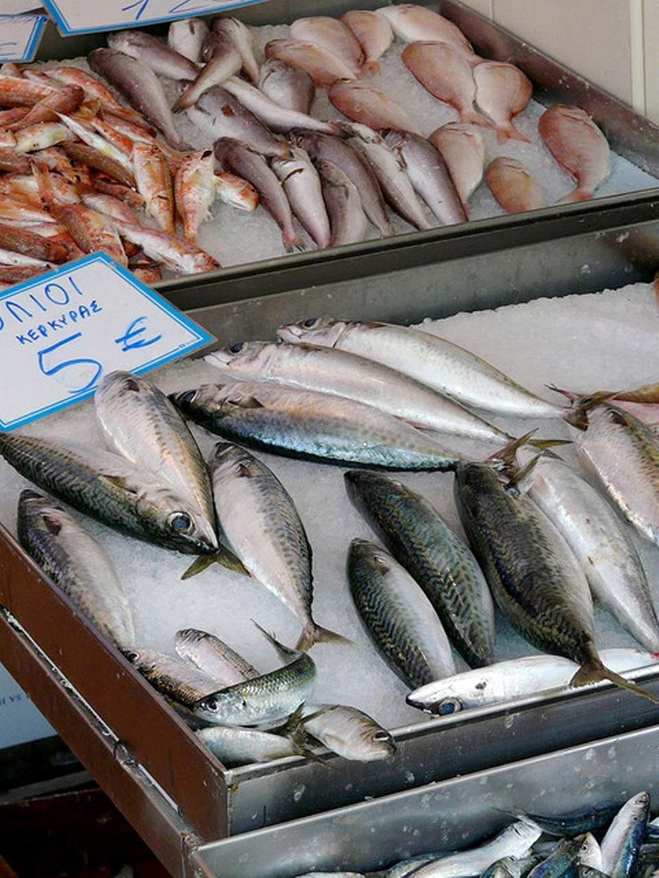 Fischmarkt auf Korfu Fischmarkt auf Korfu