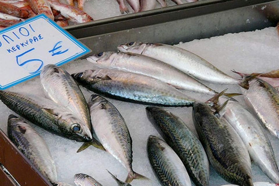 Fischmarkt auf Korfu Fischmarkt auf Korfu