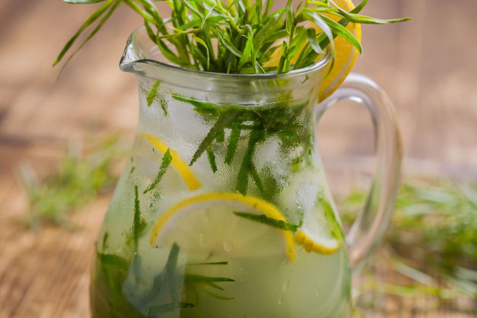 Estragon lässt sich auch wunderbar für Getränke verwenden, beispielsweise für Limonaden Estragon lässt sich auch wunderbar für Getränke verwenden, beispielsweise für Limonaden