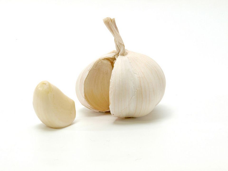 Knoblauchzehe Knoblauchzehe