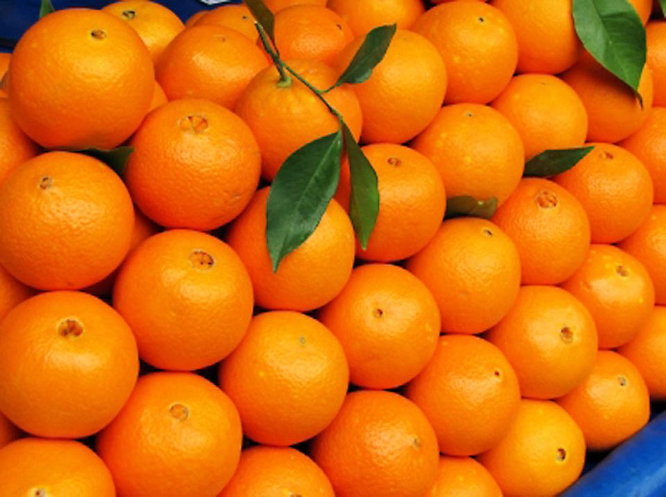 Navel-Orangen Navel-Orangen