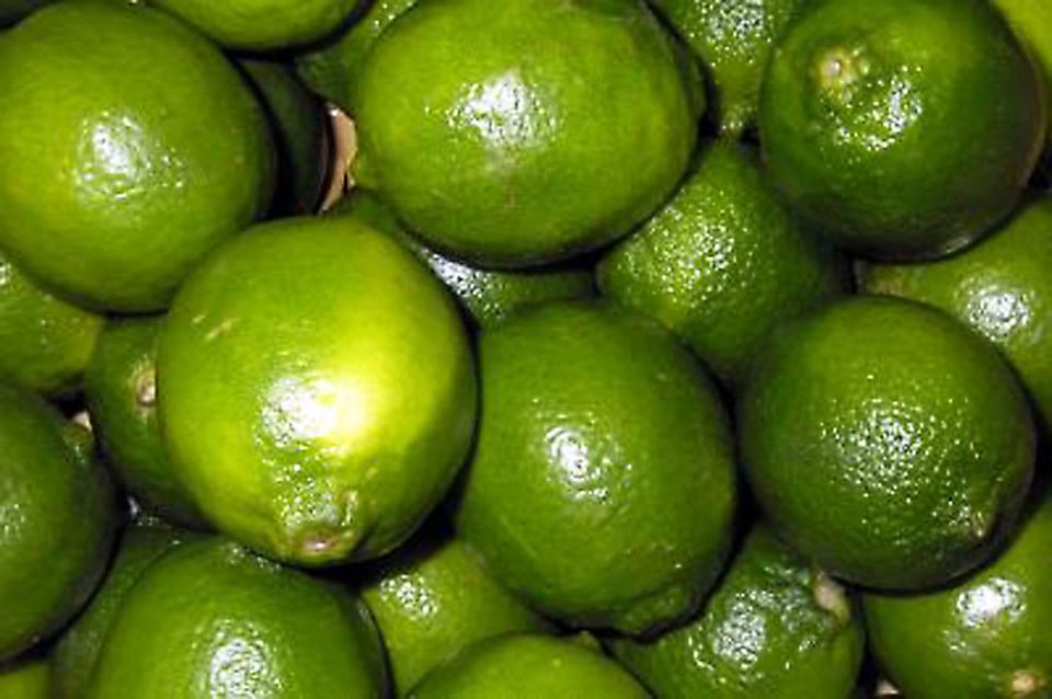 Limetten Limetten