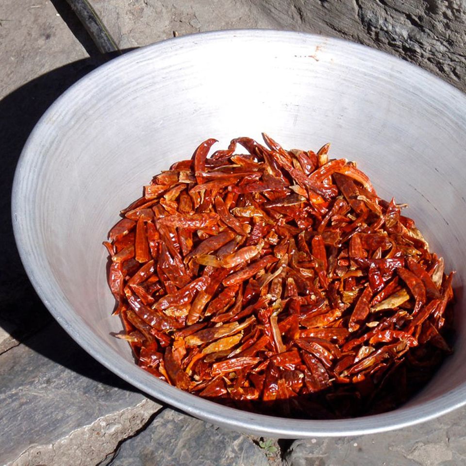 Einige Currypasten werden aus getrockneten Chilis gemacht Einige Currypasten werden aus getrockneten Chilis gemacht