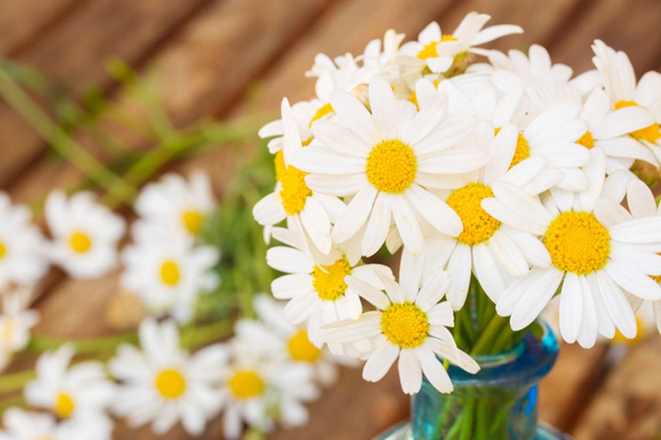 Blumen gehören zu den beliebtesten Muttertagsaufmerksamkeiten