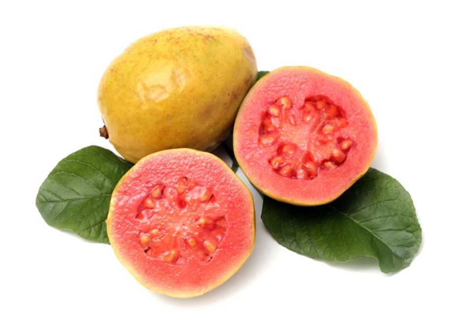Reif sind Guaven, wenn sie eine gelbe Schale haben
