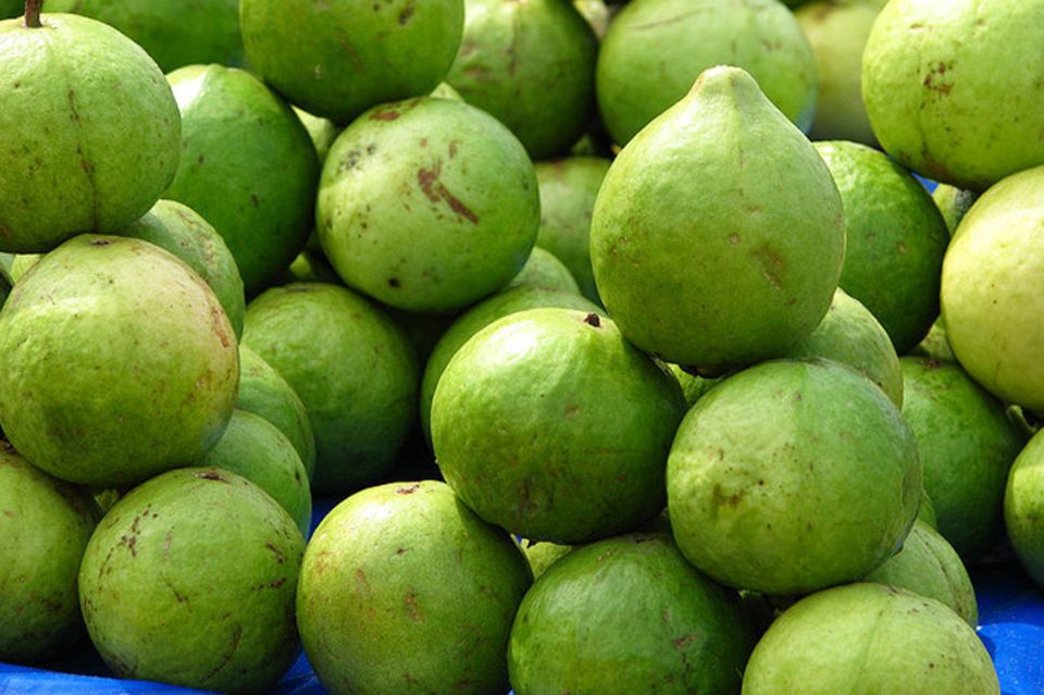 Guaven mit grüner Schale