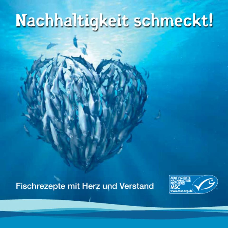 Die neue Rezeptbroschüre von MSC: "Nachhaltigkeit schmeckt!" Die neue Rezeptbroschüre von MSC: "Nachhaltigkeit schmeckt!"