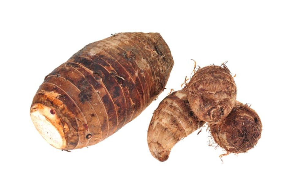 Verschiedene Arten der Yamswurzel Verschiedene Arten der Yamswurzel