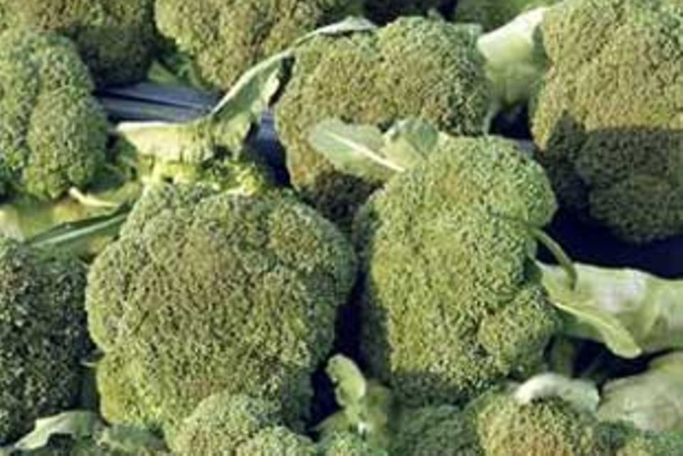 Brokkoli ist der Radikalfänger unter den Gemüsesorten