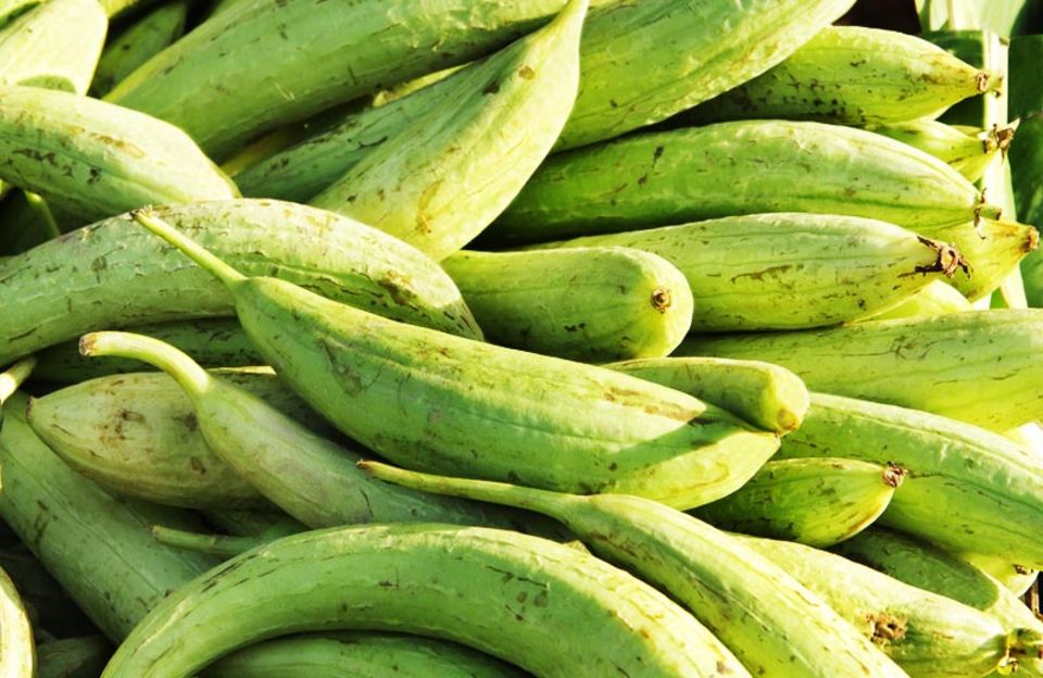 Schwammgurken sind die Verwandten der Luffa-Gurke Schwammgurken sind die Verwandten der Luffa-Gurke
