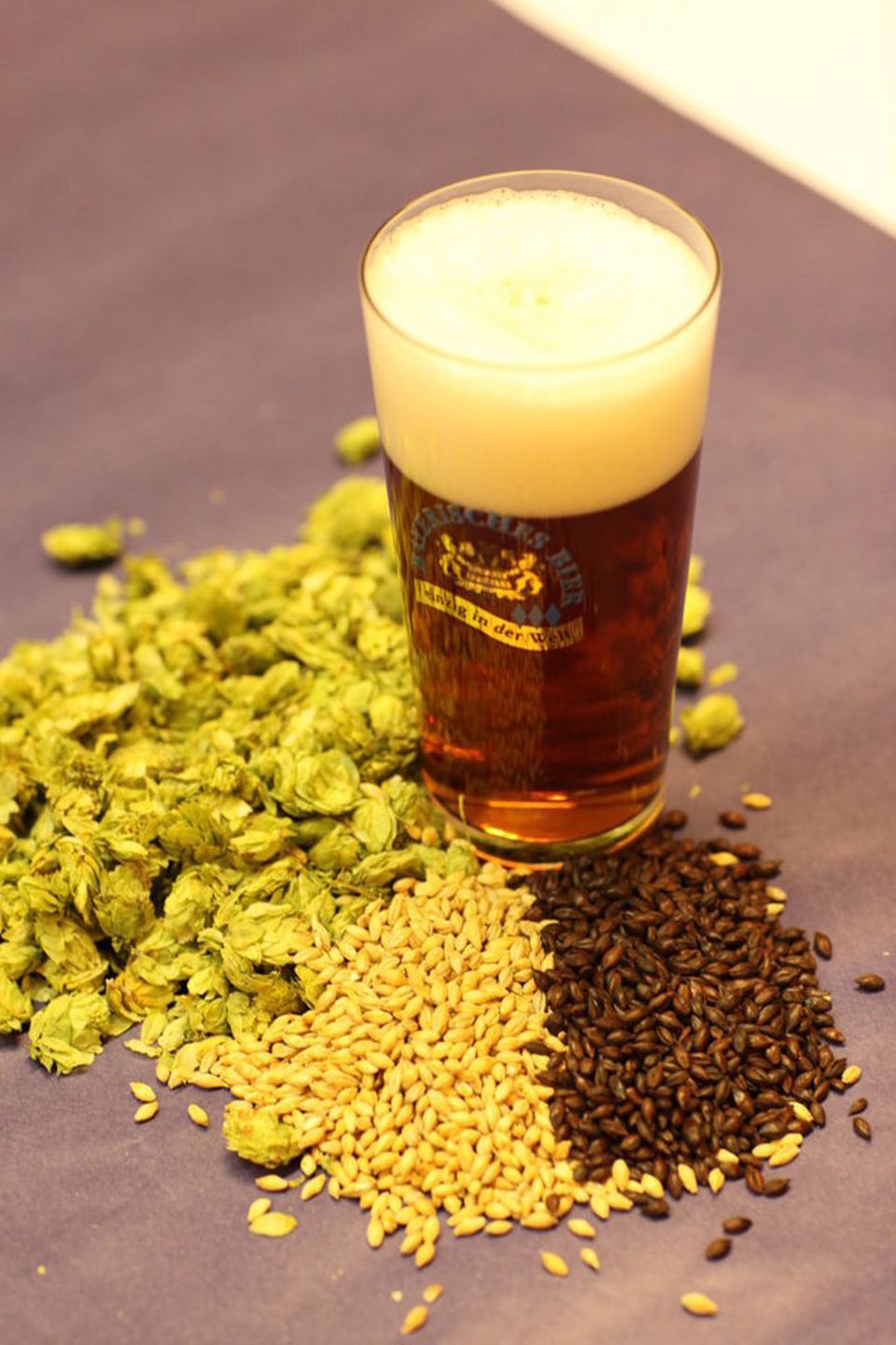 Rohstoffe für's Bier: Hopfen, Gerste und Malz Rohstoffe für's Bier: Hopfen, Gerste und Malz