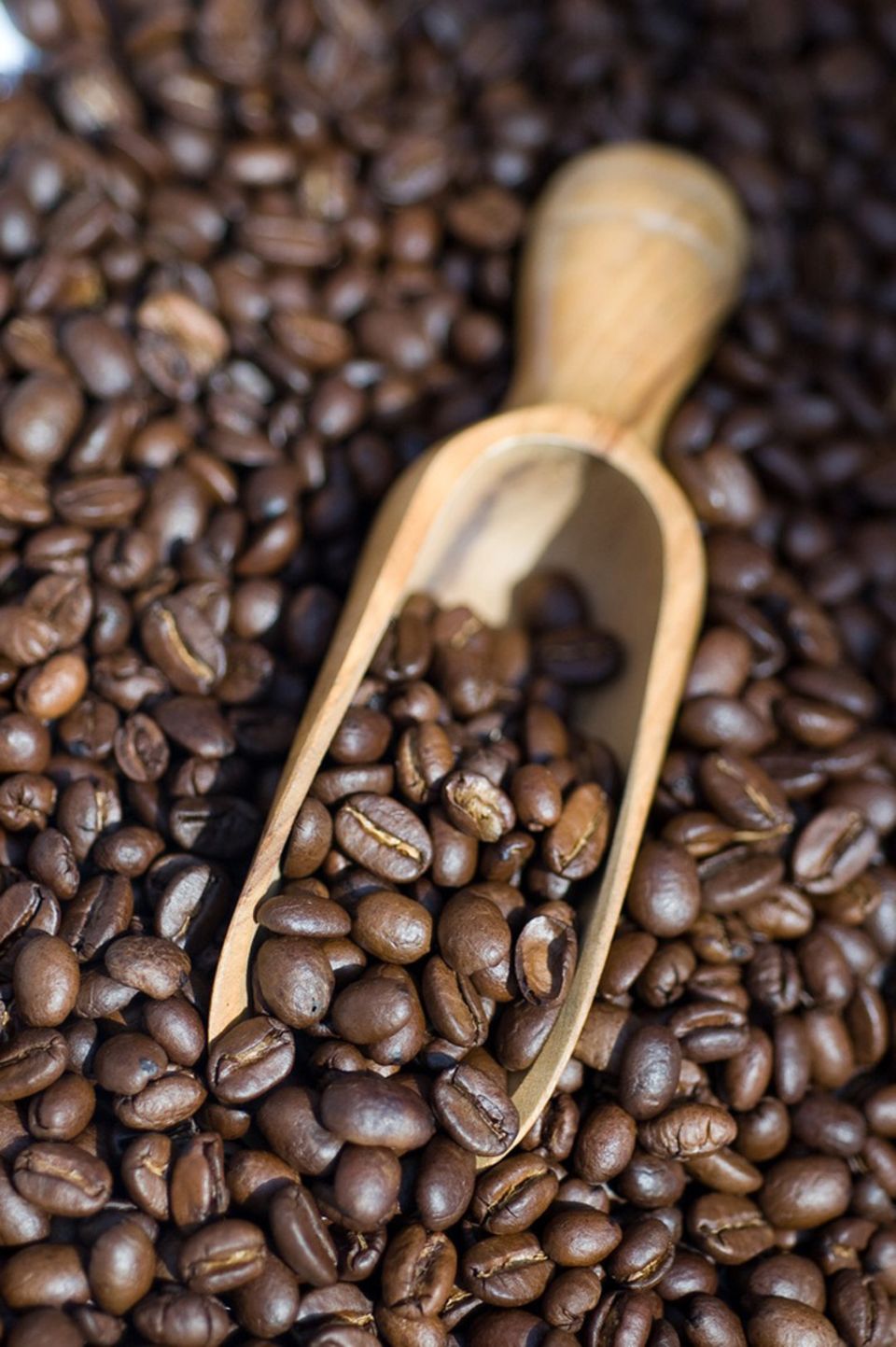 Kaffee schmeckt nicht nur lecker, sondern kann auch als Beauty-Produkt eingesetzt werden Kaffee schmeckt nicht nur lecker, sondern kann auch als Beauty-Produkt eingesetzt werden