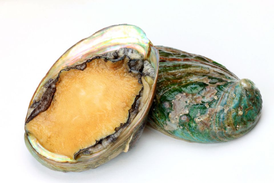 Abalone, auch als Seeohren bekannt, sind beliebte Meeresfrüchte in Südafrika