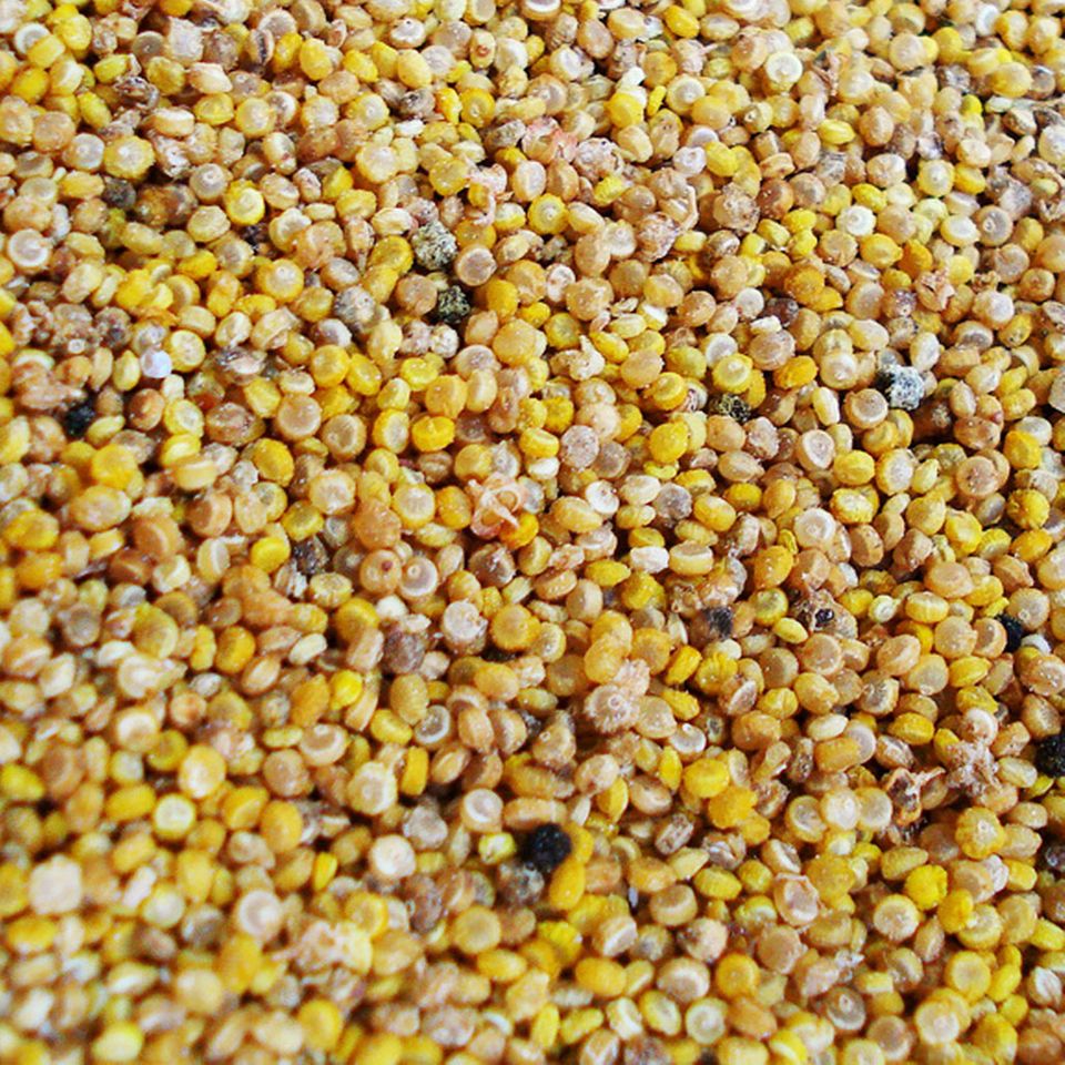 Optisch erinnert Quinoa an Hirse Optisch erinnert Quinoa an Hirse