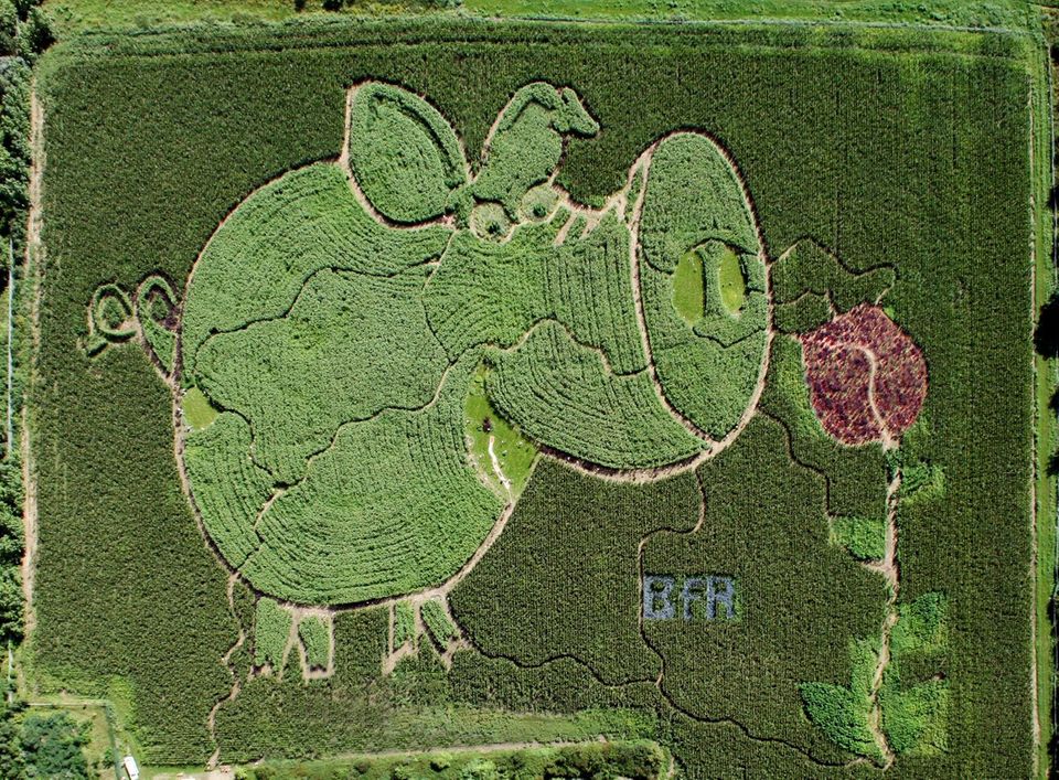 Luftbild vom Schnupperlabyrinth Luftbild vom Schnupperlabyrinth