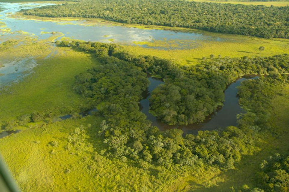 Auf Inseln im bolivianischen Amazonas wächst wilder Edelkakao Auf Inseln im bolivianischen Amazonas wächst wilder Edelkakao