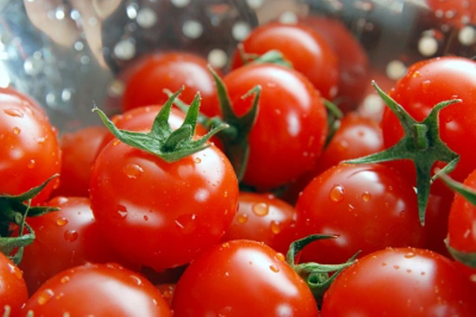 Tomaten enthalte reichlich Lycopin