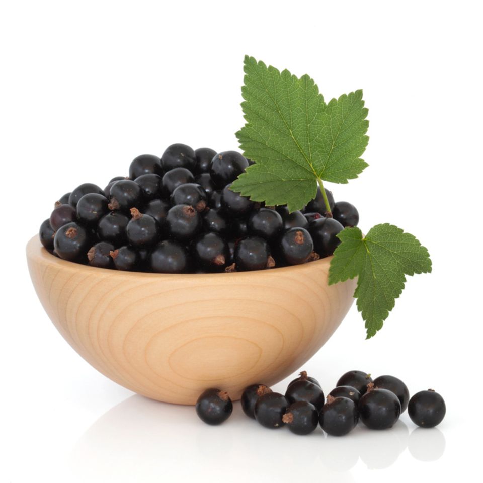 Cassis wird aus schwarzen Johannisbeeren hergestellt Cassis wird aus schwarzen Johannisbeeren hergestellt