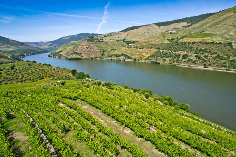 Portwein stammt aus dem Douro-Tal