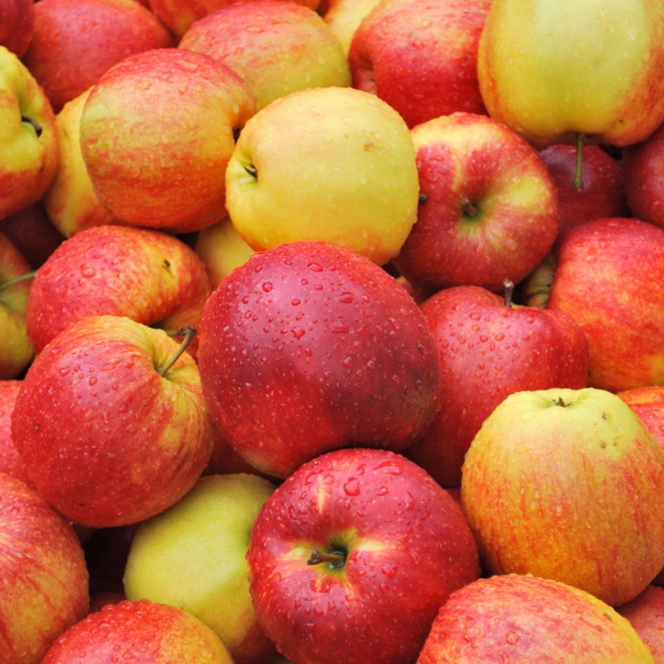 Kleines Apfel-ABC: 10 Apfelsorten