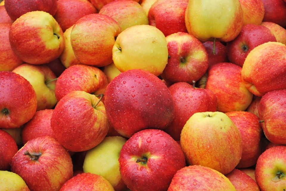 Knackig, rotbäckig, grün - der Apfel schmeckt lecker und ist rund um gesund