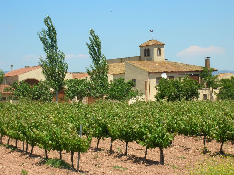 Das Weingut der Forasters an der "Ruta del Cister" Das Weingut der Forasters an der "Ruta del Cister"