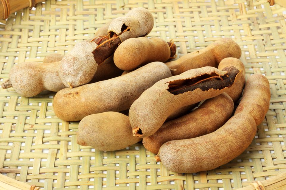 Getrocknete Tamarindenhülsen. Getrocknete Tamarindenhülsen.