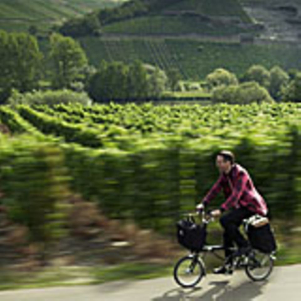 Stuart Pigott mit seinem Klapprad vor den Steillagen an der Mosel Stuart Pigott mit seinem Klapprad vor den Steillagen an der Mosel