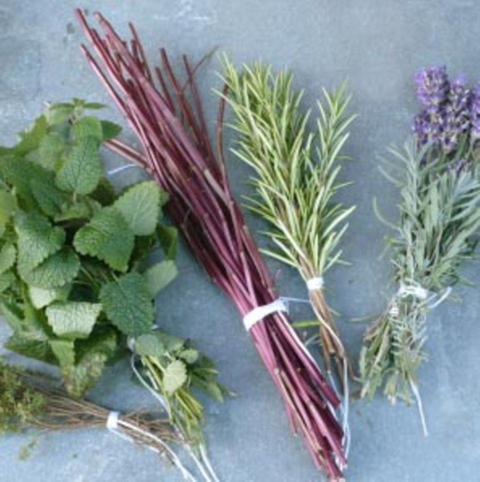 Die ätherischen Öle von Kräutern verleihen Gerichten Aroma und Richtung. Die ätherischen Öle von Kräutern verleihen Gerichten Aroma und Richtung.