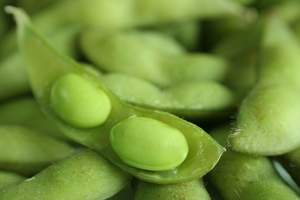 Ein köstlicher Snack: Edamame Ein köstlicher Snack: Edamame