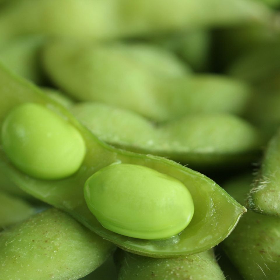 Edamame