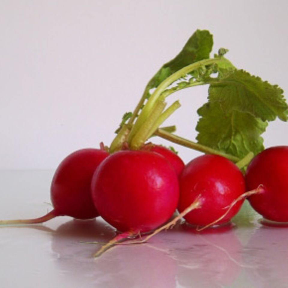 Radieschen: Infos und Rezepte