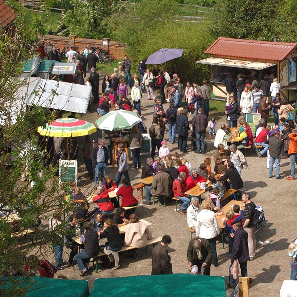 Ölmühlentag in Hagen-Grinden Ölmühlentag in Hagen-Grinden