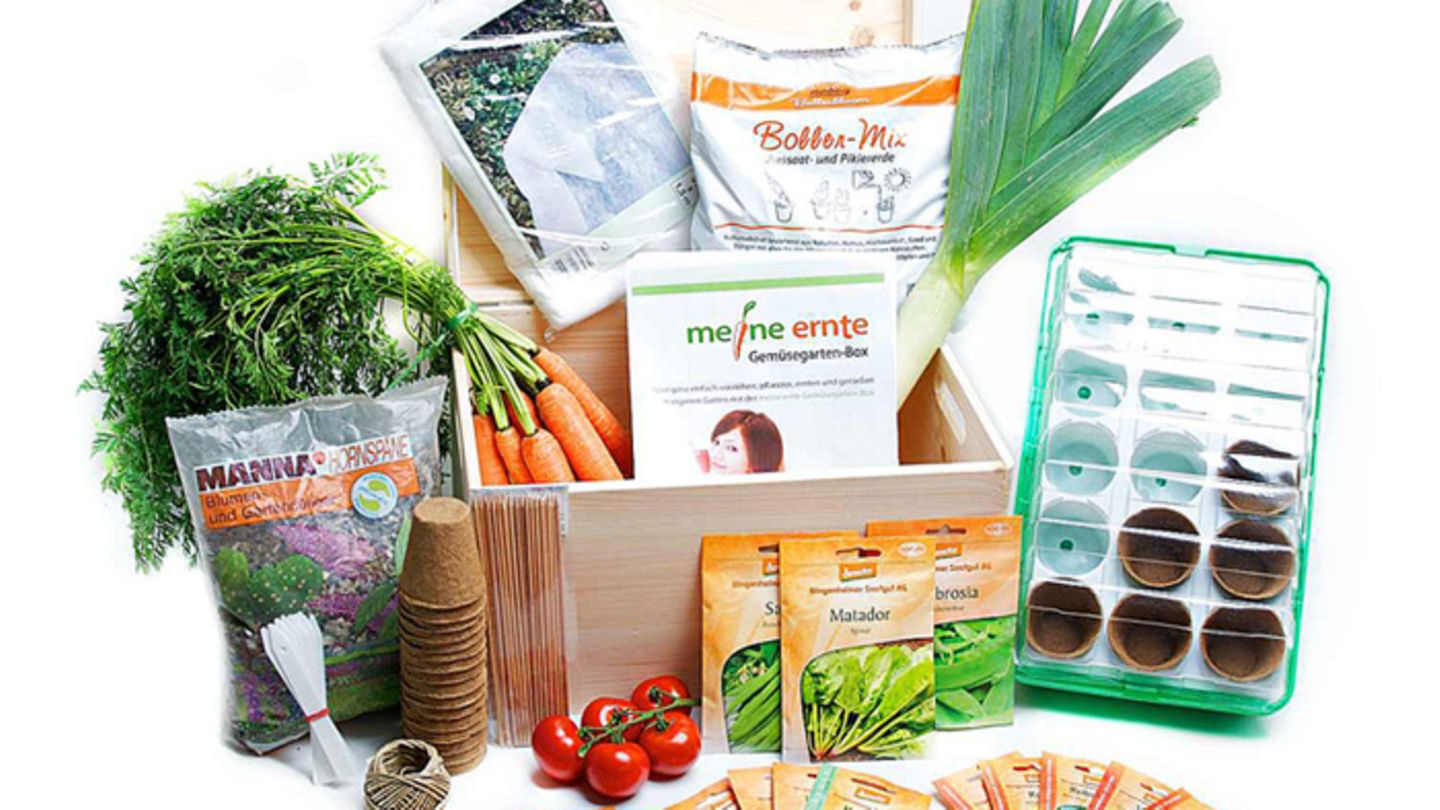 GemüsegartenBox [ESSEN UND TRINKEN]
