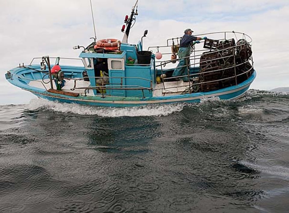 Fischabhängkeitstag: Der letzte Fisch Fischabhängkeitstag: Der letzte Fisch