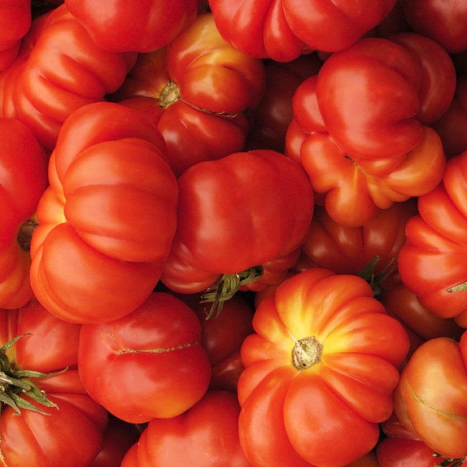 Besonders aromatisch: "Alte" Tomatensorten sind für eine Suppe perfekt