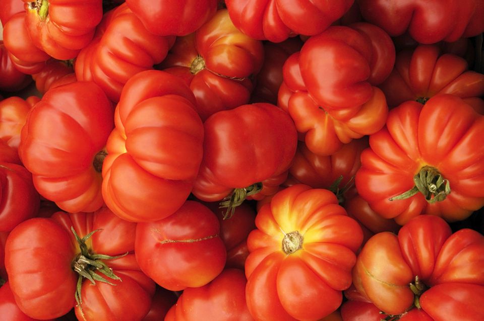 Besonders aromatisch: "Alte" Tomatensorten sind für eine Suppe perfekt Besonders aromatisch: "Alte" Tomatensorten sind für eine Suppe perfekt