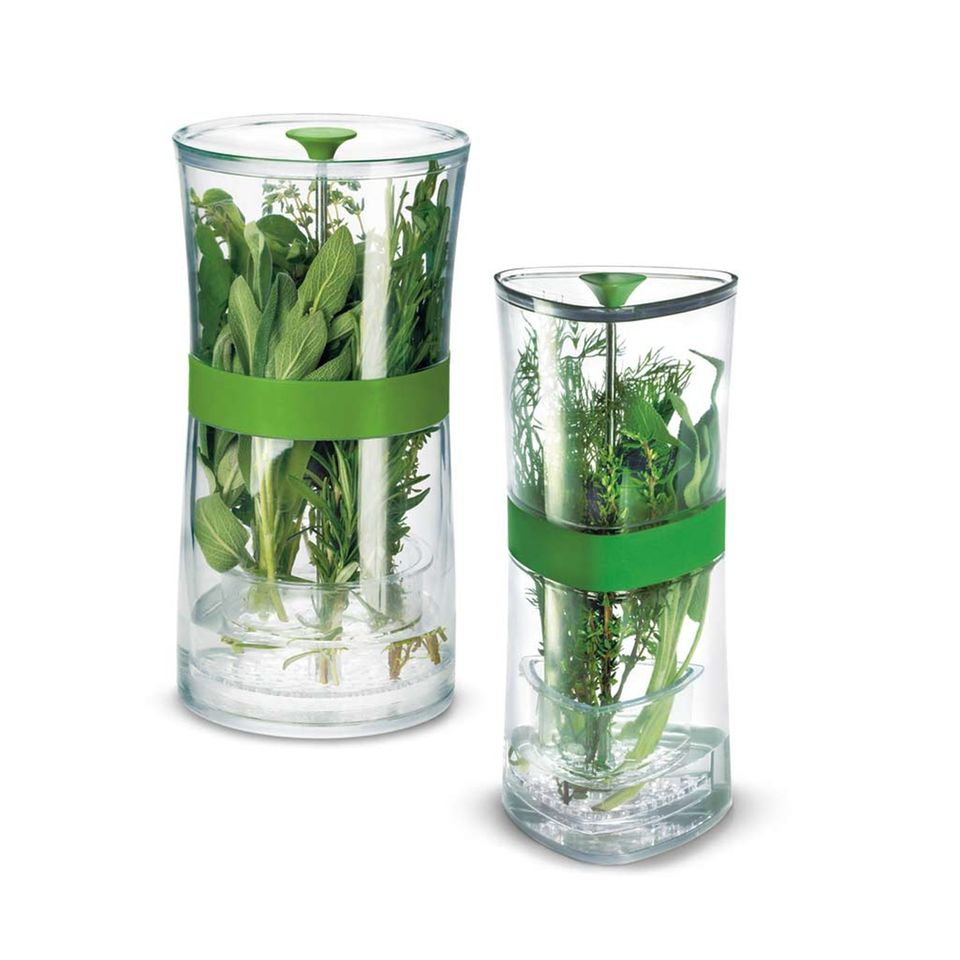 Frischebox für Kräuter: Herb Keeper Frischebox für Kräuter: Herb Keeper