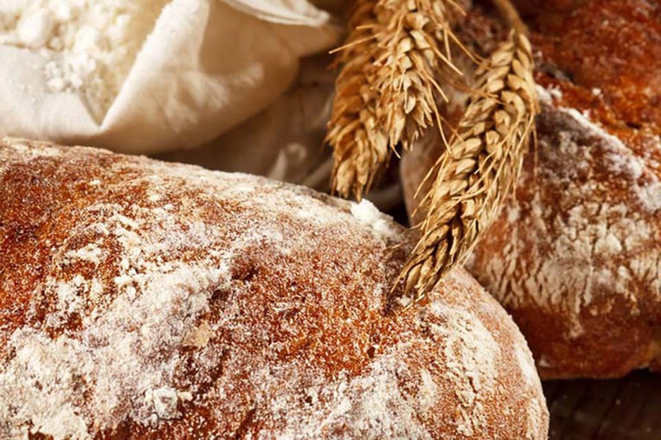 Die Qualität eines Brotes kann man an wenigen Merkmalen erkennen