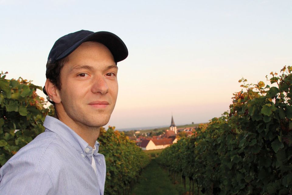 Ein Jahr auf dem Weingut: Winter