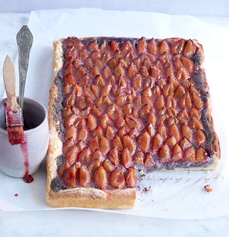 Boden mit dem Quark-Öl-Teig Boden mit dem Quark-Öl-Teig