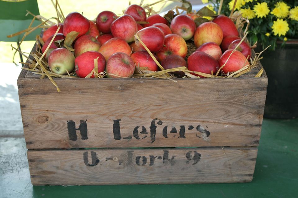 Hölzerne Obstkiste, gefüllt mit knackigen Äpfeln aus dem Alten Land