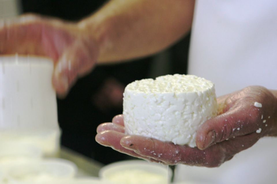Köstliches aus Milch: Käse in zahlreichen Variationen